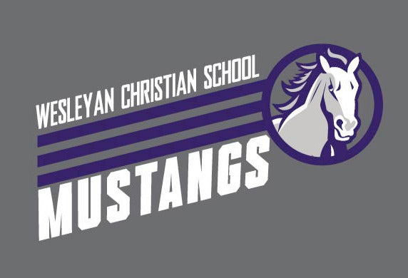 Vintage design Wesleyan Christian School Mustangs BELLA+CANVAS® Unisex Deep Heather Grey CVC Short Sleeve Tee